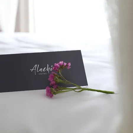 Alachi Alacati