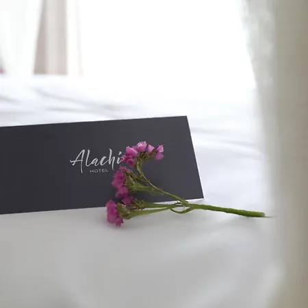 Alachi Alacati